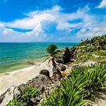 Menesse Tulum #B104